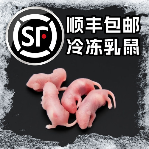 顺丰包邮冷冻乳鼠小白鼠喂蛇角蛙类爬宠龟猫粮饲料老鼠耗子红粉皮