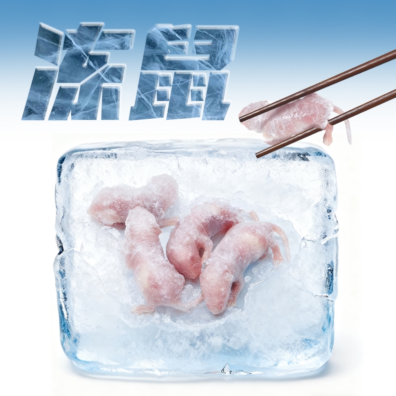 【顺丰】冷冻乳鼠独立包装喂蛇喂龟角蛙爬宠饲料红粉皮白霜开口料