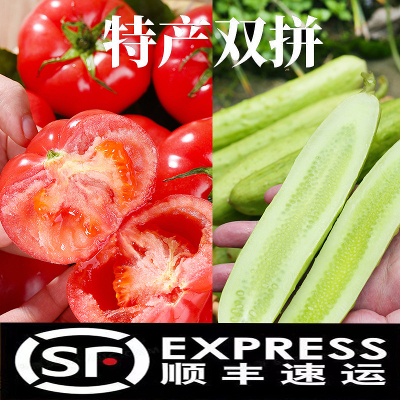 白玉黄瓜普罗旺斯西红柿双拼顺丰新鲜水果农家自然熟孕妇青瓜番茄