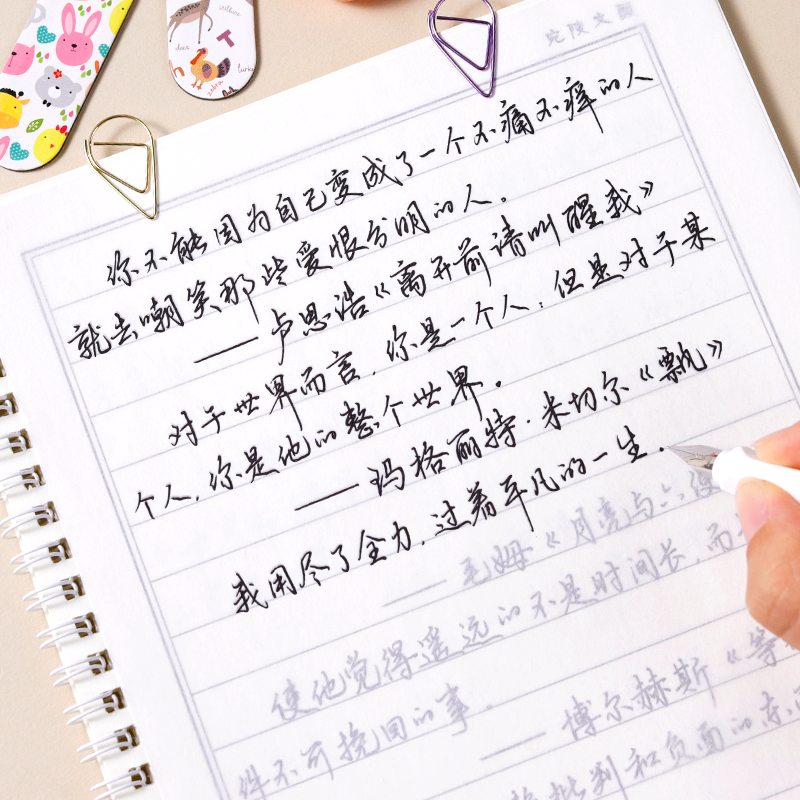 行楷练字帖玫瑰体手写成人大学生连笔漂亮字体硬笔书法临摹字帖