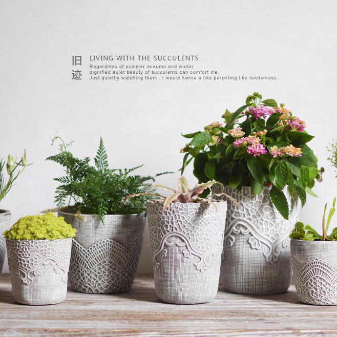 多肉蕾丝花盆透水透气混凝土做旧绿植盆小盆包邮水泥花盆,鲜花速递/花卉仿真/绿植园艺,花盆,淘宝优惠券,粉丝福利购,淘宝优惠卷