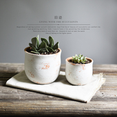 北欧侘寂风大盆创意花盆外贸出口花盆绿植盆多肉水泥花盆