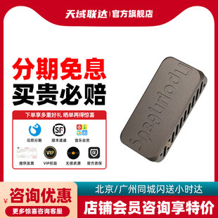 芳声乐 普罗米修斯 Prometheus 移动解码耳放 9039PRO 旗舰小尾巴