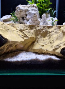 跨境水族鱼缸造景辅助装饰摆件Cave29水陆缸两用爬宠缸高低地形
