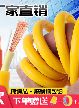 国标纯铜二芯电缆线防冻牛筋电线家用电源软线2.5/4/6平方护套线