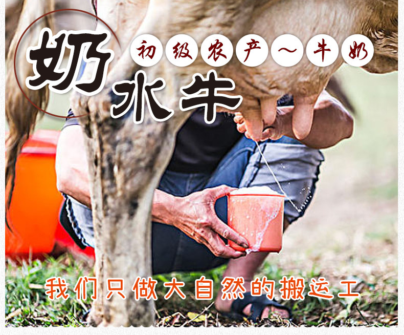 500g现挤新鲜水牛奶 闽南顺德传统美食 高钙儿童孕妇双皮奶不加水