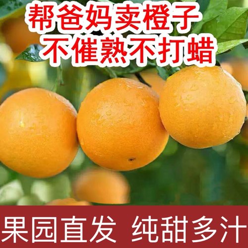 正宗湖南麻阳冰糖橙10斤新鲜水果当季橙子整箱果冻甜橙子手剥橙子
