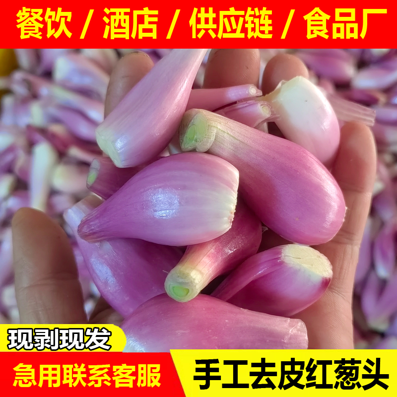 正宗广东去皮红葱头新鲜剥皮葱头餐饮店用香料干葱头小香葱火葱