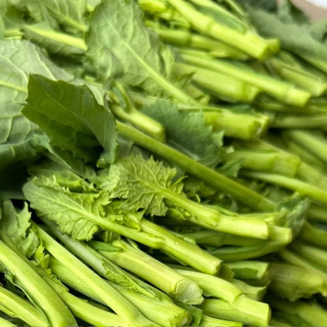 新鲜油菜苔油菜尖板蓝根菜农家露天油菜苗叶子青菜苔9月销售,水产肉类/新鲜蔬果/熟食,叶菜类,淘宝优惠券,粉丝福利购,淘宝优惠卷