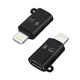 适用Type c母转苹果lightning公C口无线麦克风收音麦OTG充电接口U盘pro转换器iphone数据线14转接头13手机12