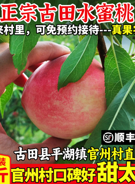 正宗古田水蜜桃白蜜新鲜甜脆桃福建大桃子宁德官州水果当季非白凤
