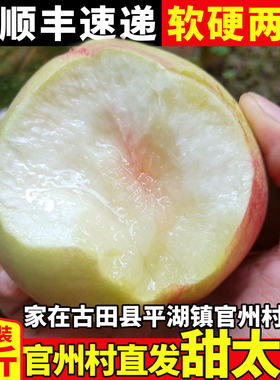 正宗古田水蜜桃白凤新鲜甜脆桃福建大桃子宁德官州水果当季礼盒装