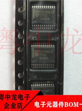粤中龙TEA1095TS  SSOP24 全新进口原装现货 可直拍
