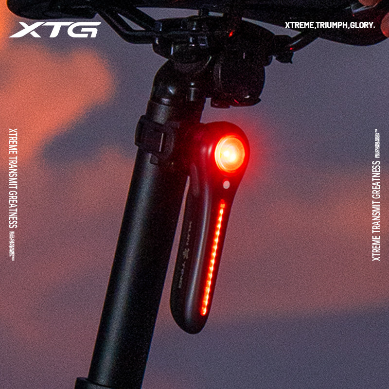 迅霆自行车智能感应刹车尾灯山地公路车夜骑高亮警示尾灯骑行装备