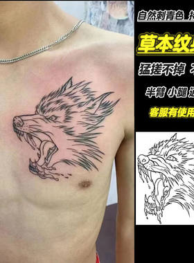胸前割线霸气滴血狼头龙头草本纹身贴防水果汁持久不反光