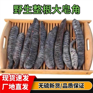 野生大皂角新货皂荚天然洗发护发皂角段皂角粉结婚整皂角正品包邮