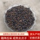 包邮 无硫正品 洗发原料另售旱莲草 女真子散装 野生女贞子正品