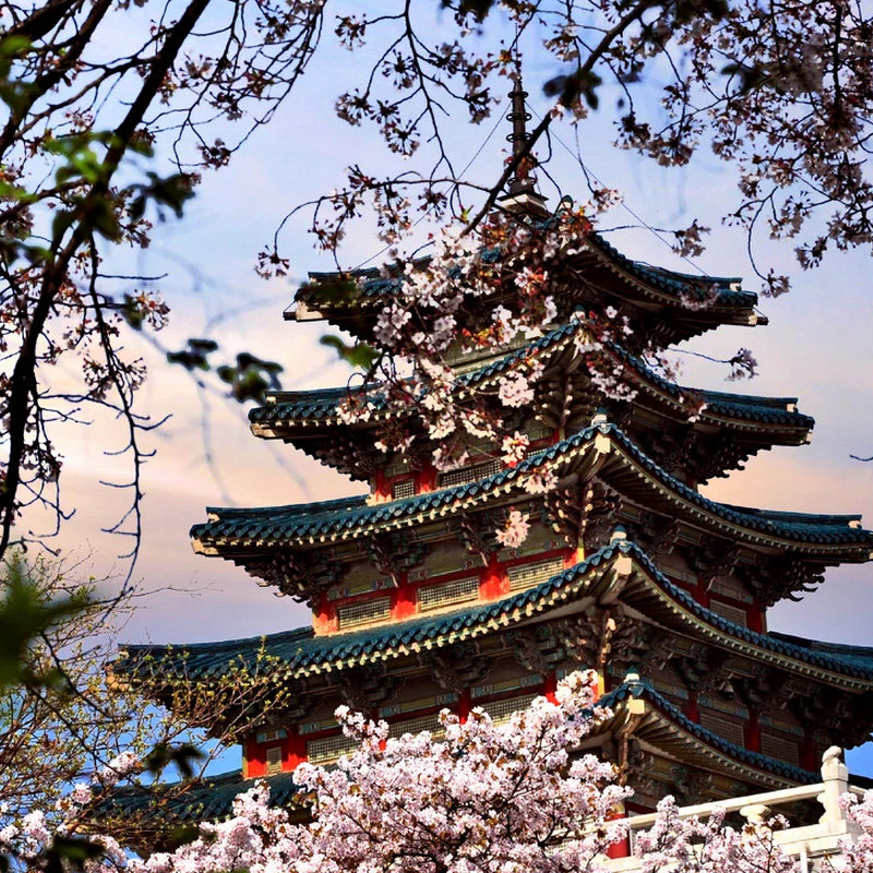 韩国·多次签证·上海送签·飞果❤韩国签证五年多次旅游十年杭州上海宁波南京苏州首尔签证
