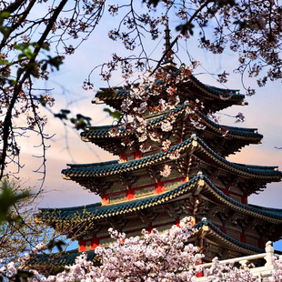 韩国·多次签证·上海送签·飞果❤韩国签证五年多次旅游十年杭州上海宁波南京苏州首尔签证