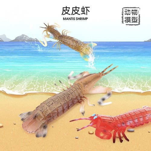 海洋动物皮皮虾濑尿虾虾姑