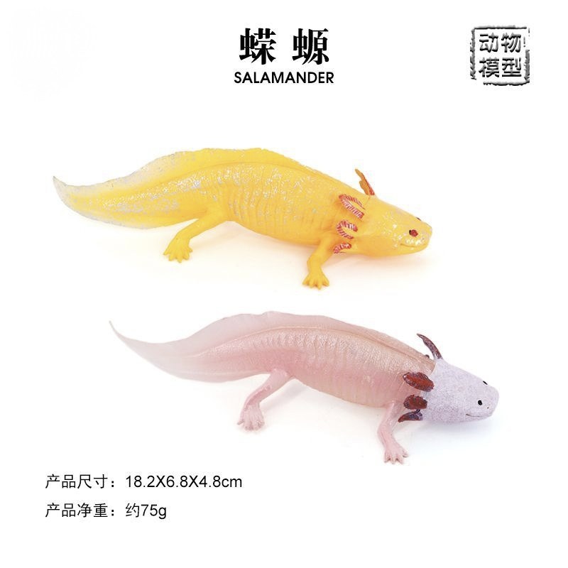 儿童仿真野生动物玩具模型摆件墨西哥钝口螈六角恐龙鱼四脚鱼蝾螈