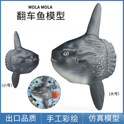 鱼塑胶太阳鱼翻车鱼蜇鱼