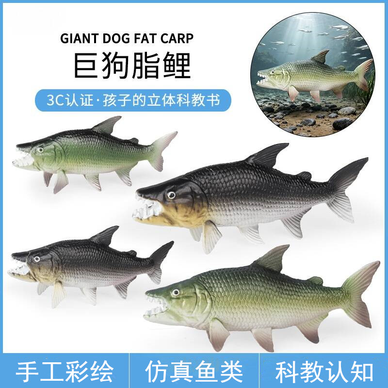 儿童仿真海洋动物玩具模型鱼类摆件巨狗脂鲤白金猛鱼非洲食人鱼