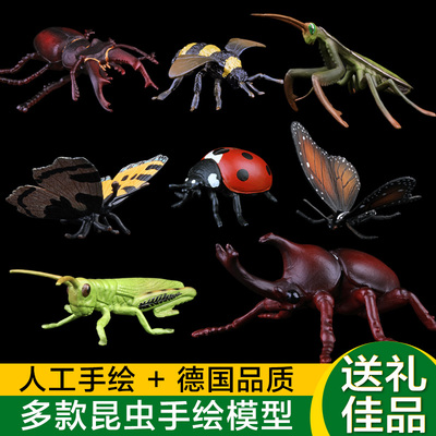 儿童动物蜜蜂独角仙蝴蝶蝎子昆虫