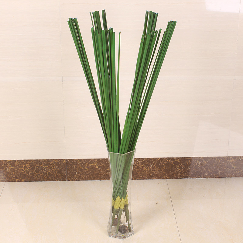 仿真蒲叶蒲草叶子水蜡烛手感芦苇杆叶假花绿植物家居客厅装饰搭配