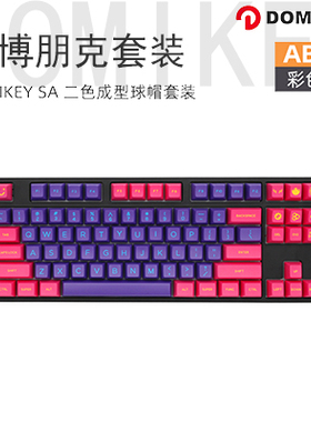 DOMIKEY SA高度赛博朋克 风格PUMPER二色成型球帽机械键盘客制化