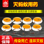 官方正品 蚂蚁药呋虫胺杀虫剂室内白蚁小红火蚁灭杀蚂蚁胶饵剂