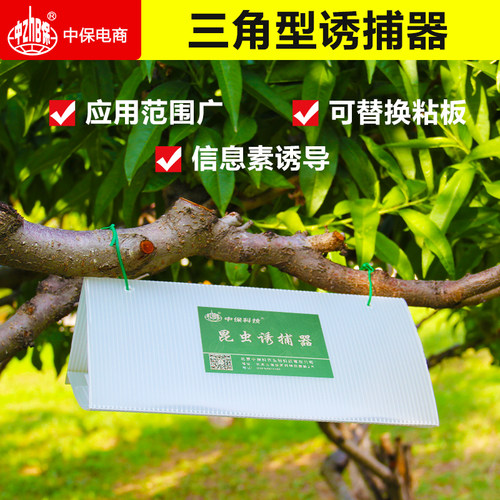 三角形诱捕器 配置诱芯信息素搭配诱芯小菜蛾桃小食心虫捕虫板