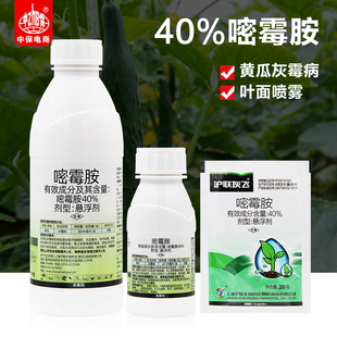 沪联灰飞40%嘧霉胺密霉胺黄瓜灰霉病真菌性病害悬浮剂农药杀菌剂