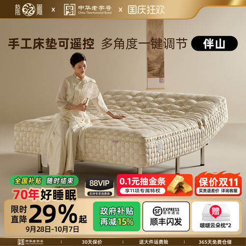 可落地可放床两用智能电动床垫