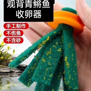 观背青鳉鱼卵收卵器纯手工漂浮挂卵神器天使之翼专用七彩鱼缸