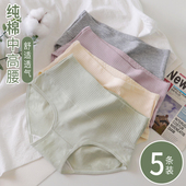 女士纯棉2023新款 中高腰收腹女生大码 胖mm100%全棉夏季 内裤 薄款
