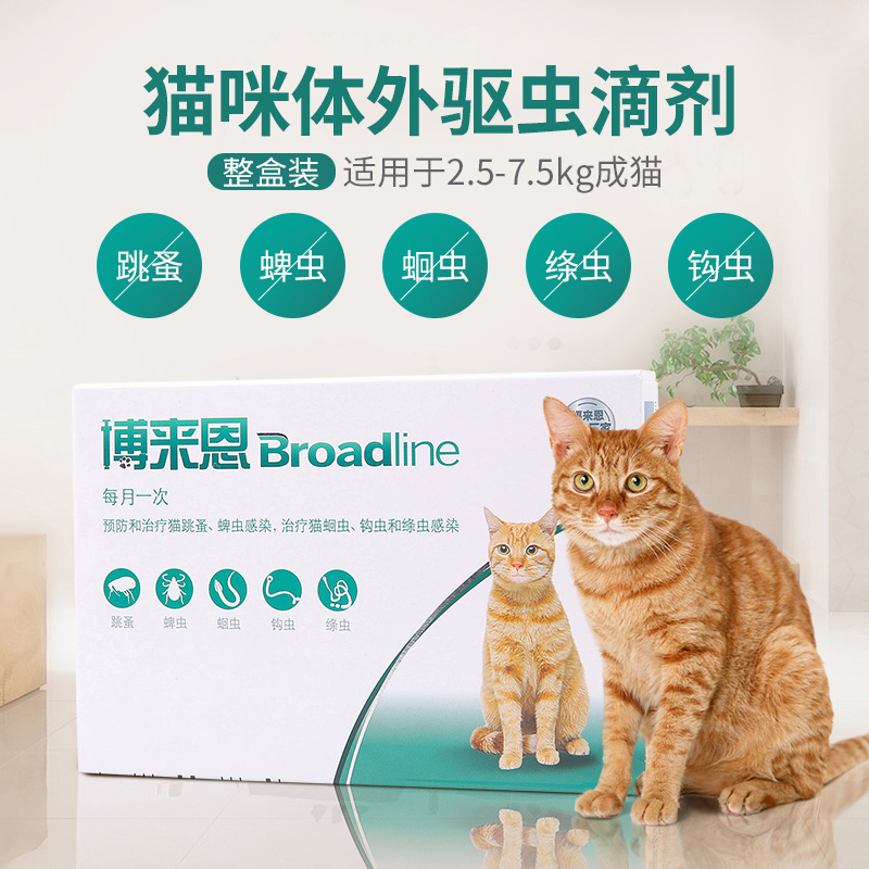 博来恩猫咪体外驱虫滴剂成猫体内外一体跳蚤幼猫博莱恩体内驱虫药
