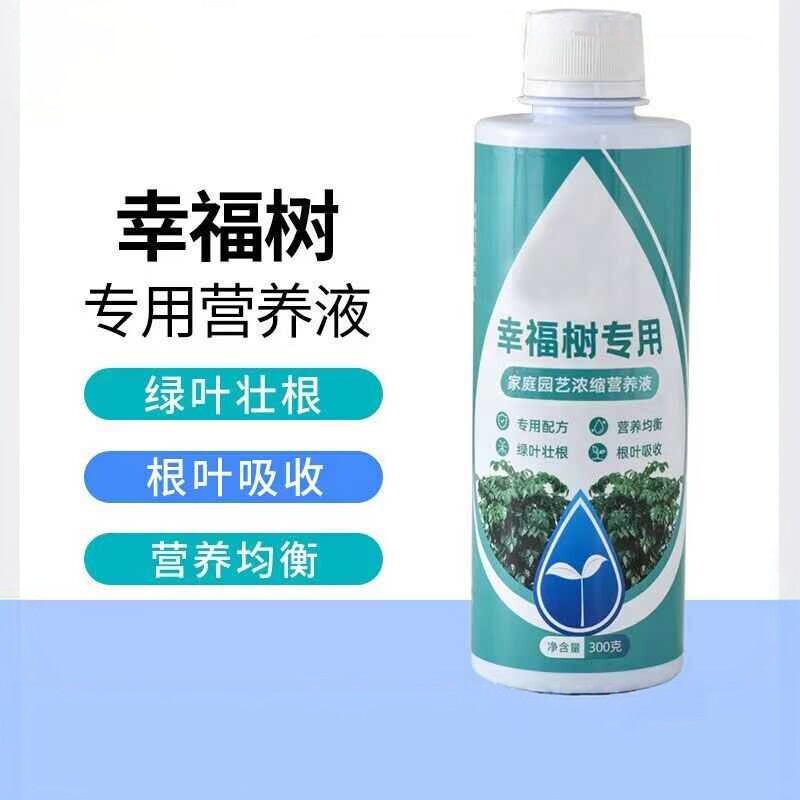 绿植叶子黑斑幸福树专用营养液