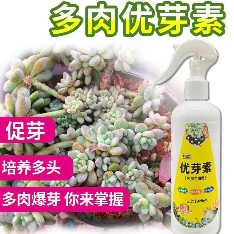 多肉专用促生长发芽矮胖素