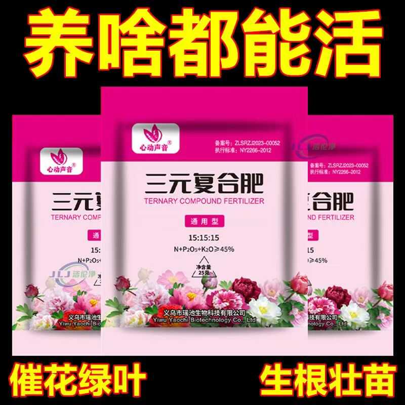 花卉盆栽种菜多肉家用绿萝