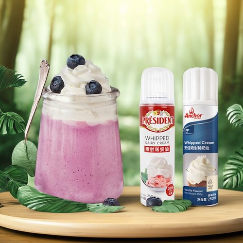 总统250g冰激淋蛋糕咖啡淡奶油