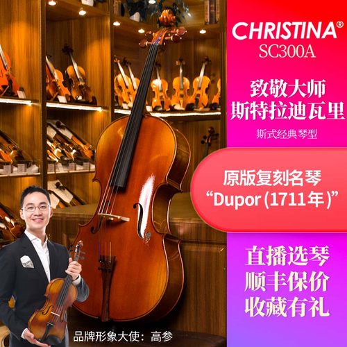 克莉丝蒂娜大提琴进口欧料