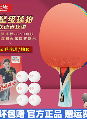 双鱼双面反胶4星级进阶兵乓球拍