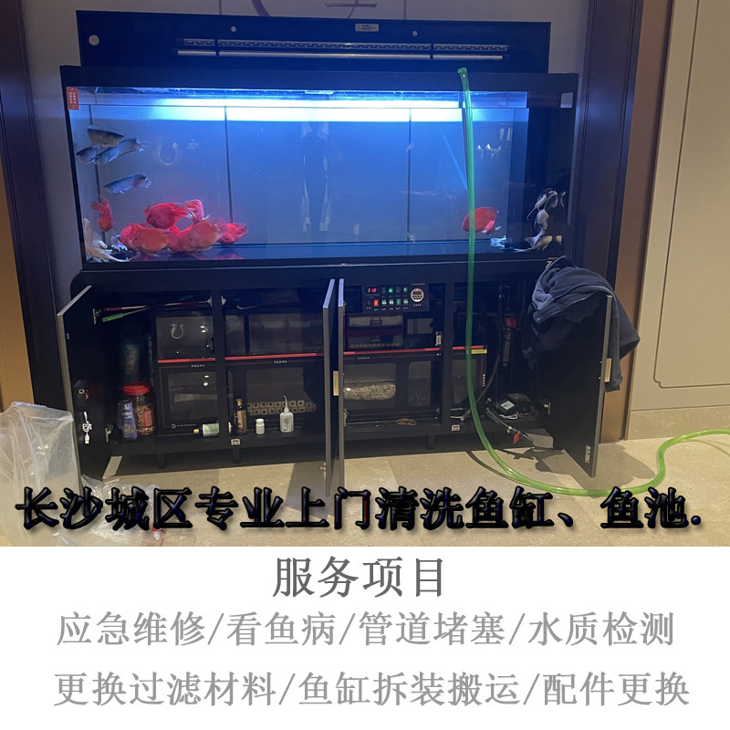 长沙鱼缸维护清理保养海缸定制设计包月上门清洗鱼缸定做搬运清洁