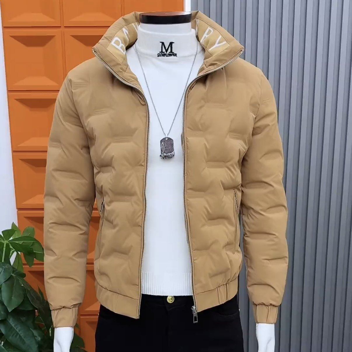 冬季新款气质纯色高端立领羽绒服男修身痞帅高级感显瘦羽绒外套男