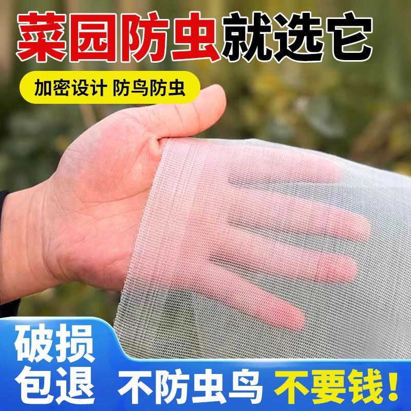 防虫网种菜专用防虫网农用养殖网