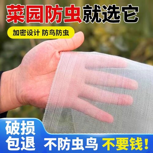 防虫网种菜专用防虫网农用养殖网
