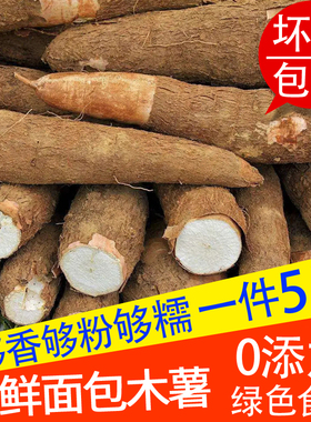 新鲜木薯现挖自家有机黄肉白肉面包树薯糖水粉香甜糯木薯cassava