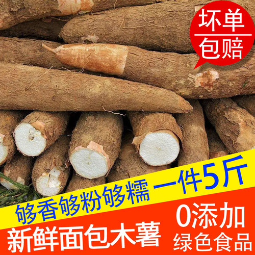 新鲜木薯现挖自家有机黄肉白肉面包树薯糖水粉香甜糯木薯cassava