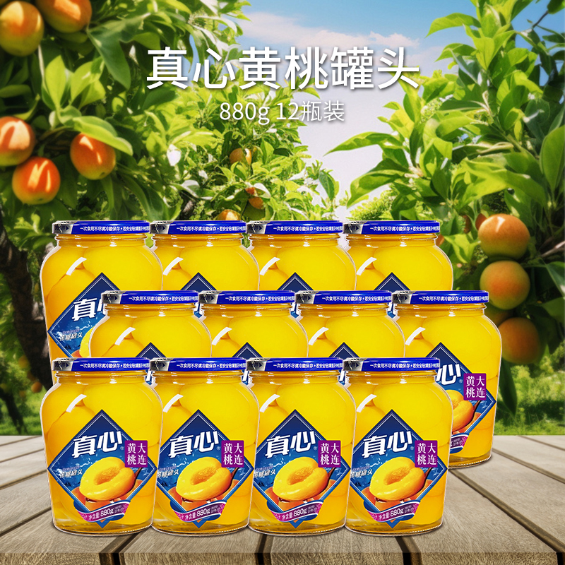 真心罐头黄桃罐头瓶装880g水果罐头零食橘子罐头